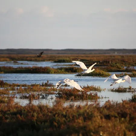De Ξενοδοχείο 3*